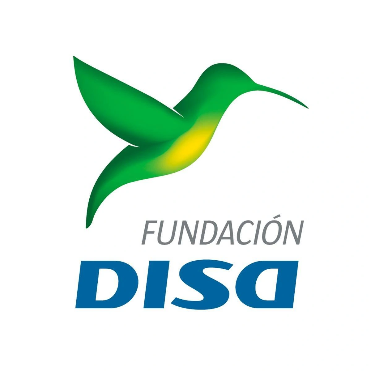 Fundación DISA